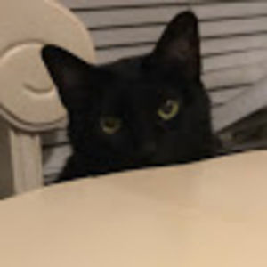 Meet your Posher, Meghan